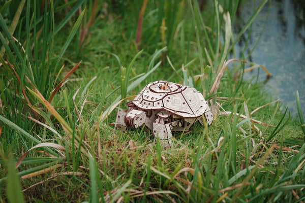 Igrača lesena 3D sestavljanka turtle v visoki travi ob vodi